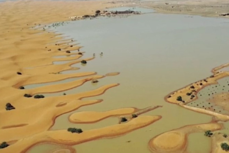 Gurun Sahara Banjir Untuk Pertama Kalinya Dalam 50 Tahun, Begini Penjelasan Secara Sains