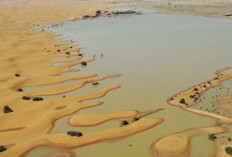 Gurun Sahara Banjir Untuk Pertama Kalinya Dalam 50 Tahun, Begini Penjelasan Secara Sains