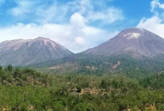 Hotel Labuan Bajo Langsung Sepi Wisatawan Dampak Erupsi Gunung Lewotobi yang Naik Status Siaga