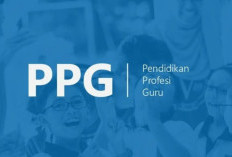 Link Cek Kelulusan PPG Piloting 1 2024 untuk Guru Sudah Rilis Tanggal 8 Oktober 2024