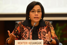 Setoran Pajak Digenjot Hingga Cetak Rekor Baru Rp 3000 T, Sri Mulyani Ungkap Perjuangannya